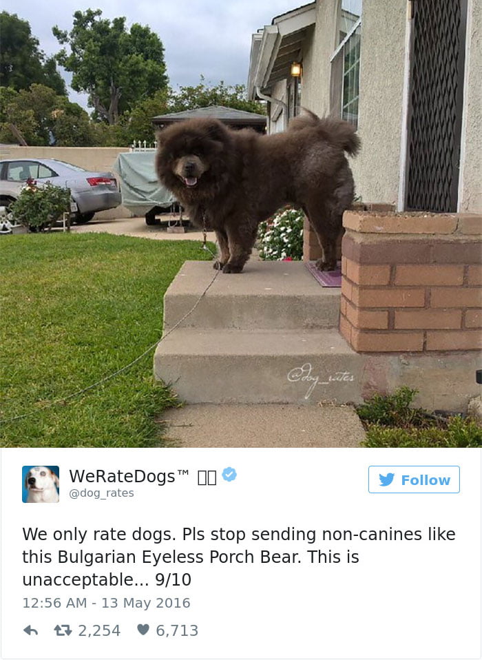 Bulgarian Eyeless Porch Bear