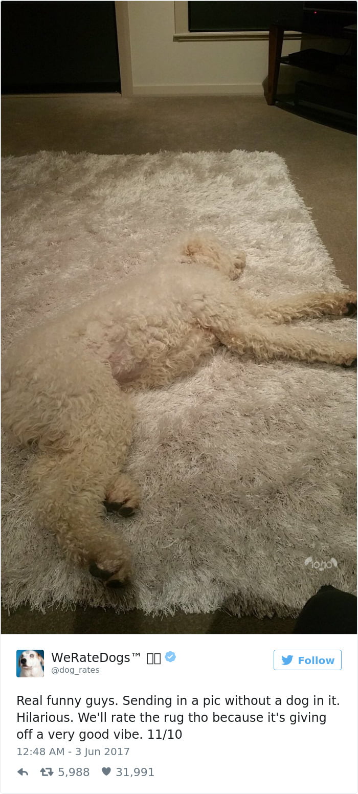Snoring rug of all dogs