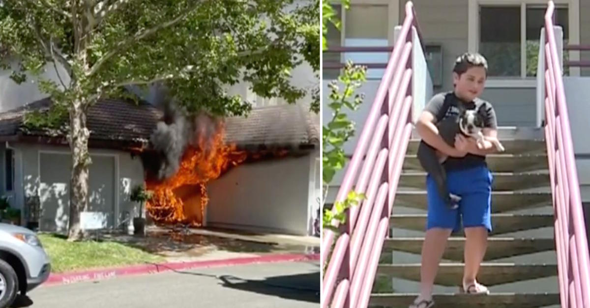 11-Year-Old Boy And His Dog Team Up To Save Neighbor’s Home From Devastating Fire