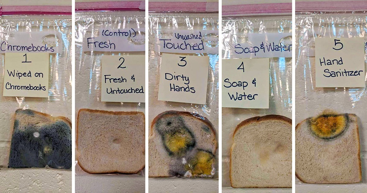A Teacher Did an Experiment to Show the Power of Handwashing, and You Can’t Stay Unimpressed