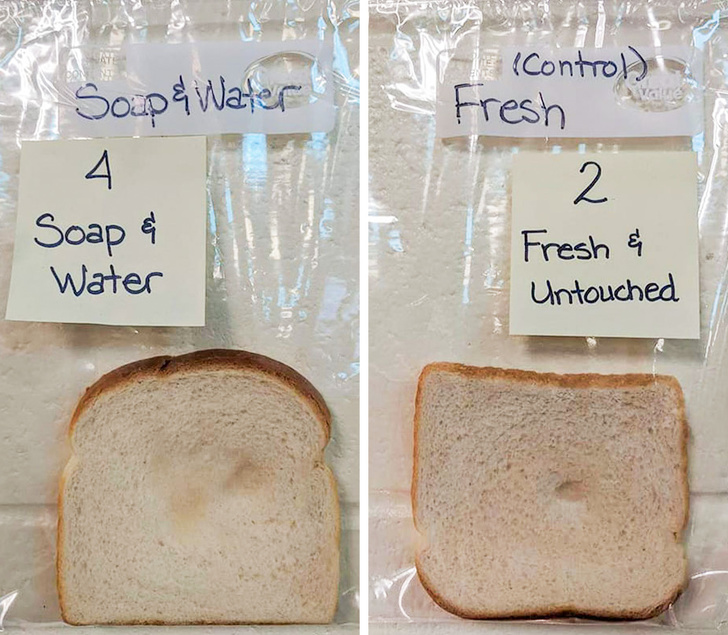 The effect of soap and warm water