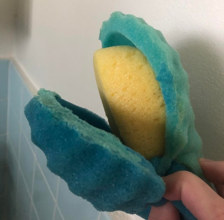 A sponge in the sponge!