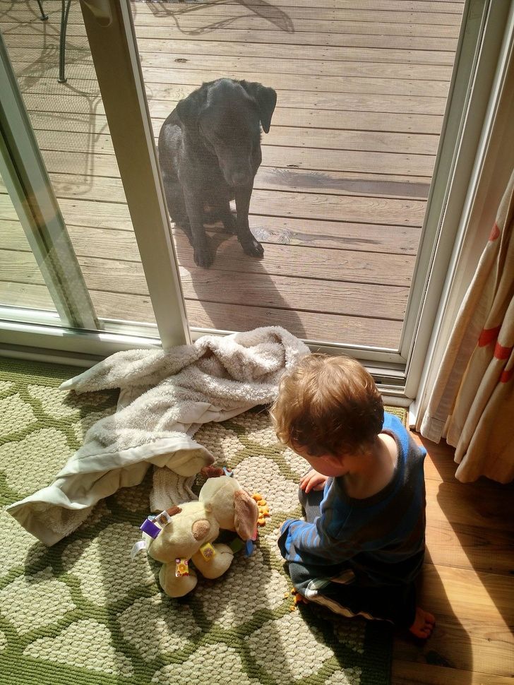 My son is busy feeding his toy dog while our real dog is sitting outside.