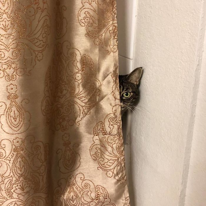 Let's hide behind the curtain