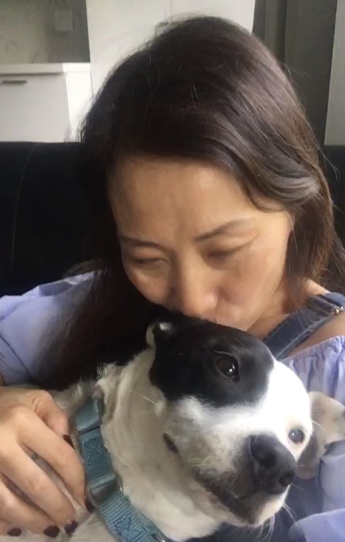 mom love to his dog