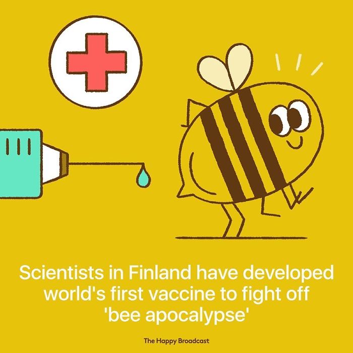 Bee Apocalypse is now curable!