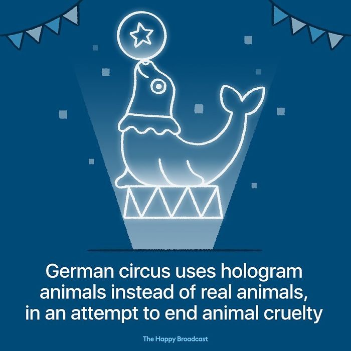 Animal holograms to entertain at the circus! Good news that marks the end of Animal Cruelty!