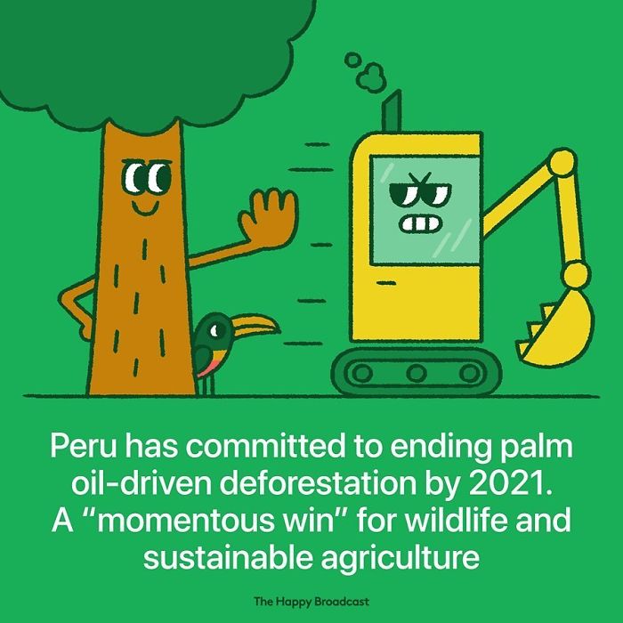 Deforestation will soon come to an end!