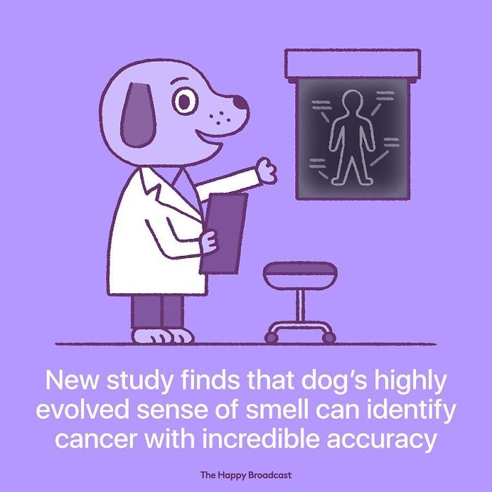 What? Doctor Doggo can identify cancer accurately!