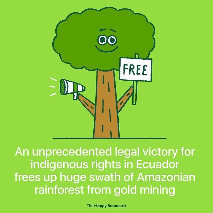 A good piece of news tells: The Amazonian rainforest is now free!