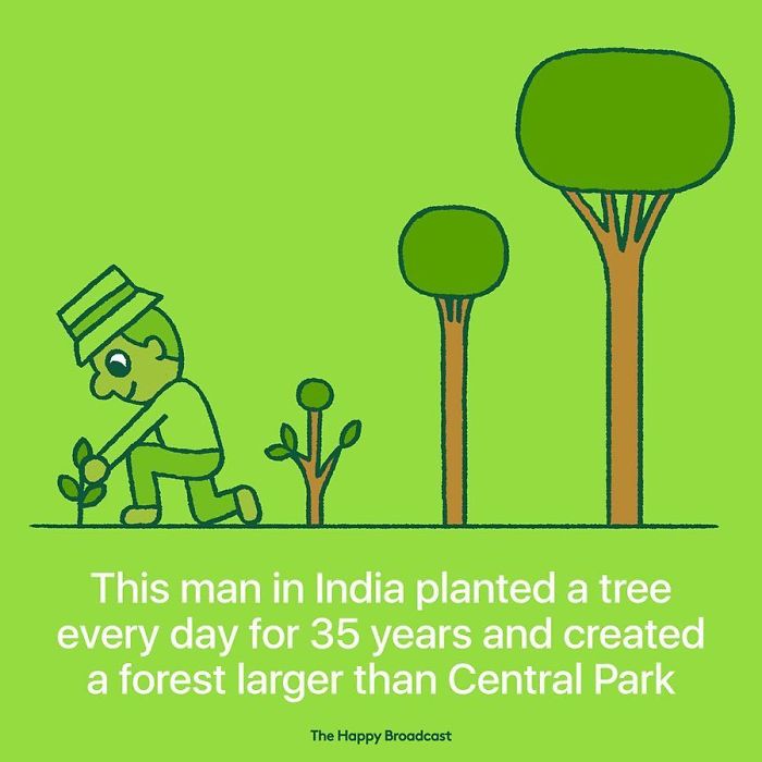 Let's plant more trees to make this world a better place! 