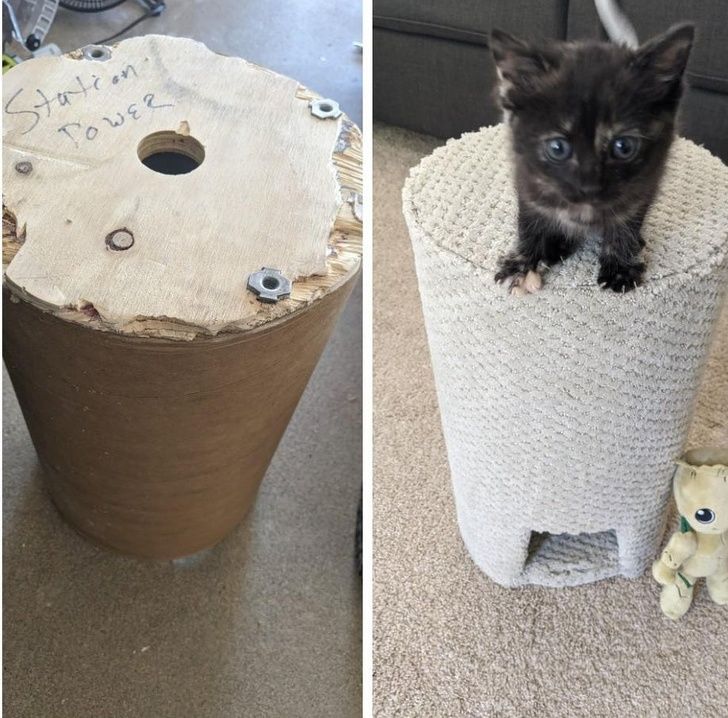 A cable spool turned into a toy tower for the kitten