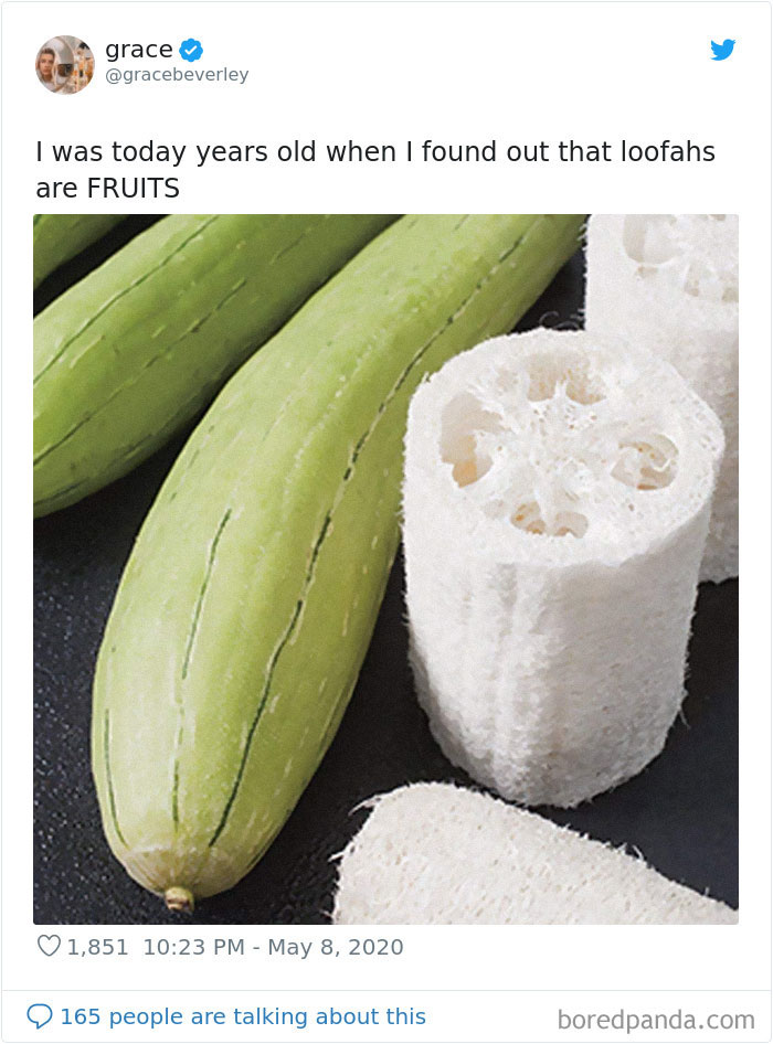 People find that Loofahs are also fruits!