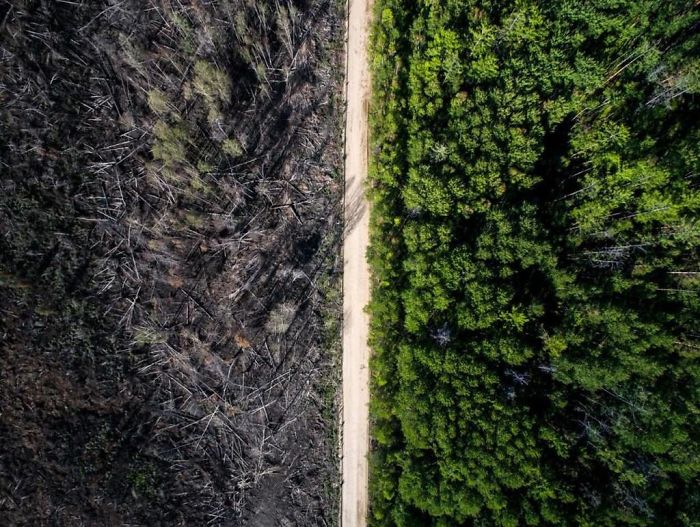 The road that stopped the fire