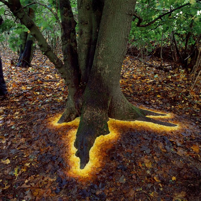 The base of the tree grown by arranging the leaves