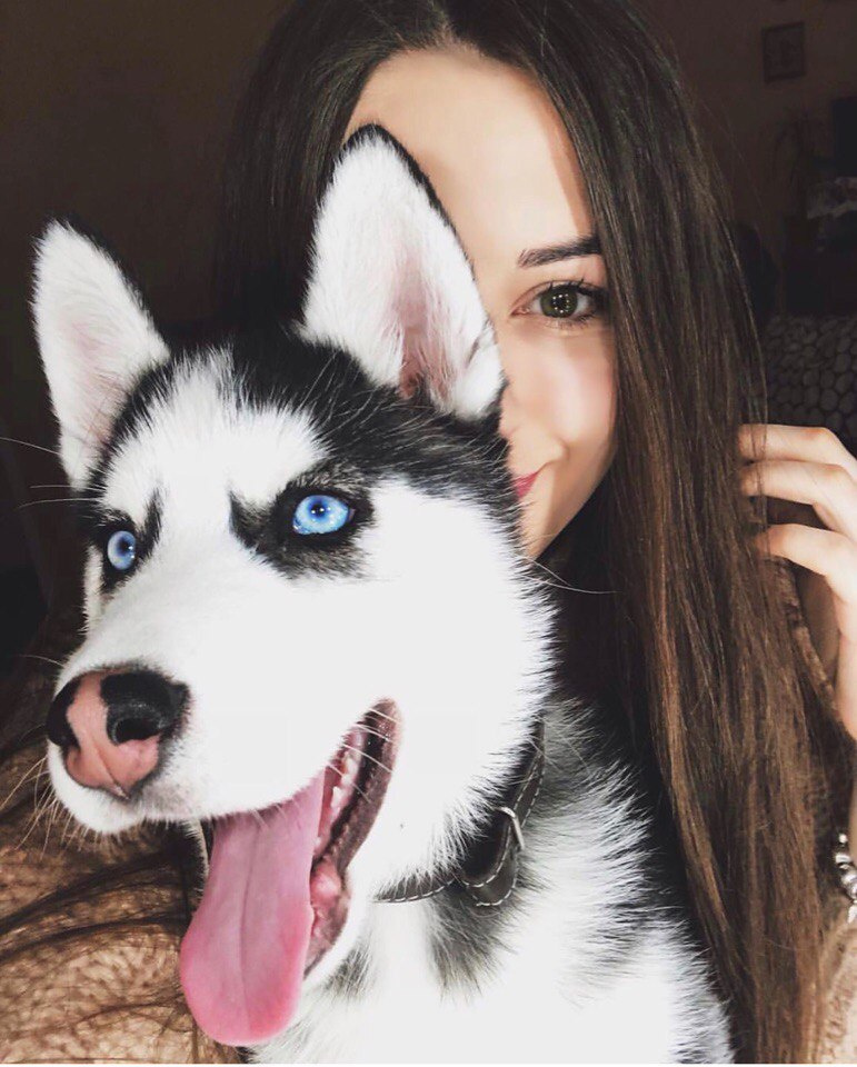 I'd choose Husky over the girl. He's so adorable!