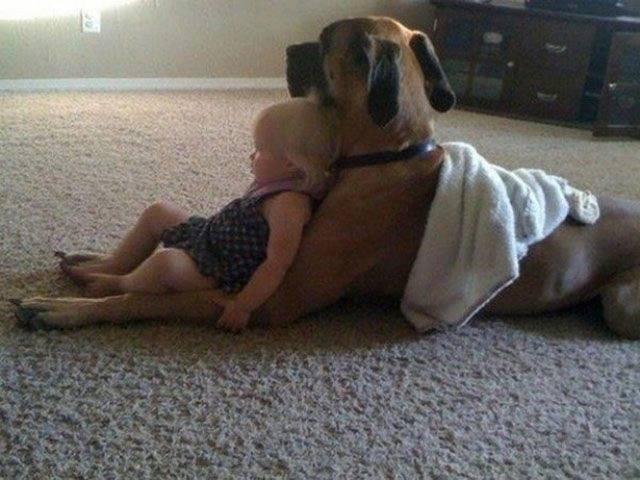 Babysitter