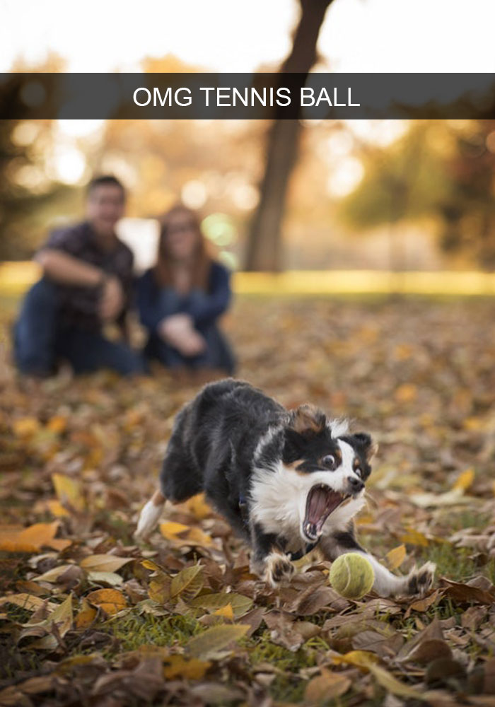 No time for photos, gotta get the ball