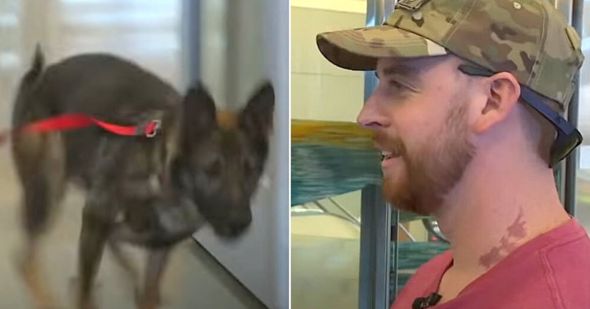 Dog runs and jumps into the arms of his soldier friend after years apart