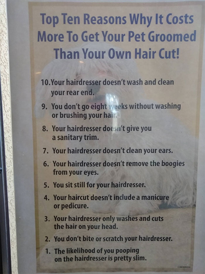 So, here it is! The list that every person needs to see before taking their pet to a groomer!