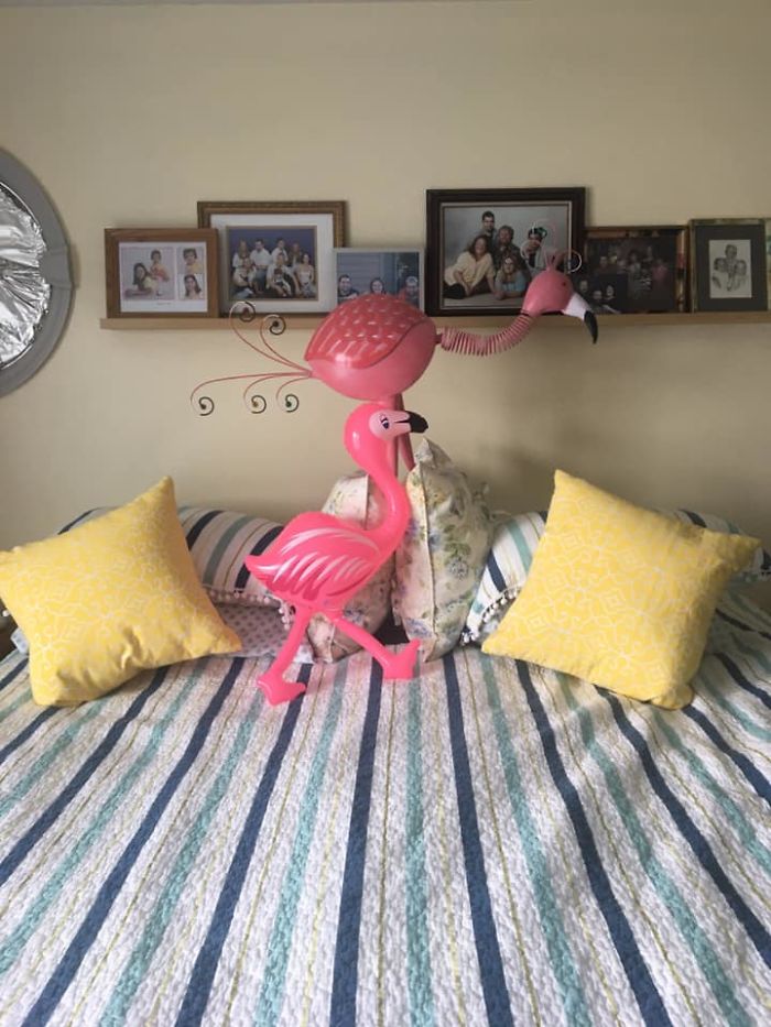 Hilarious husband and wife:And today is the flamingo day!