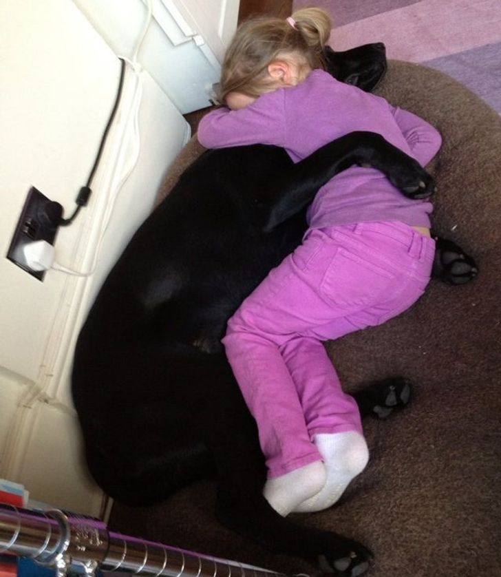 When she comes home from a long day at school, after a bad day, having been told off, or being sad, she cuddles her best friend