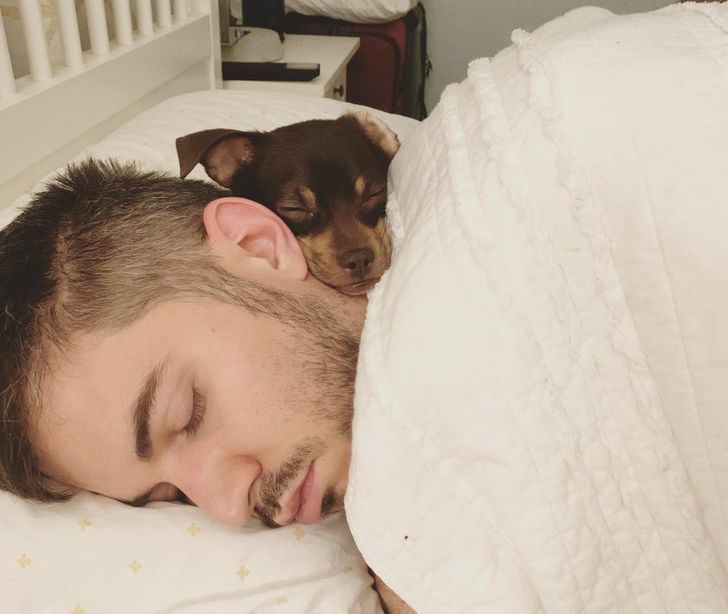 Woke up to find my boyfriend and our dog sound asleep like this