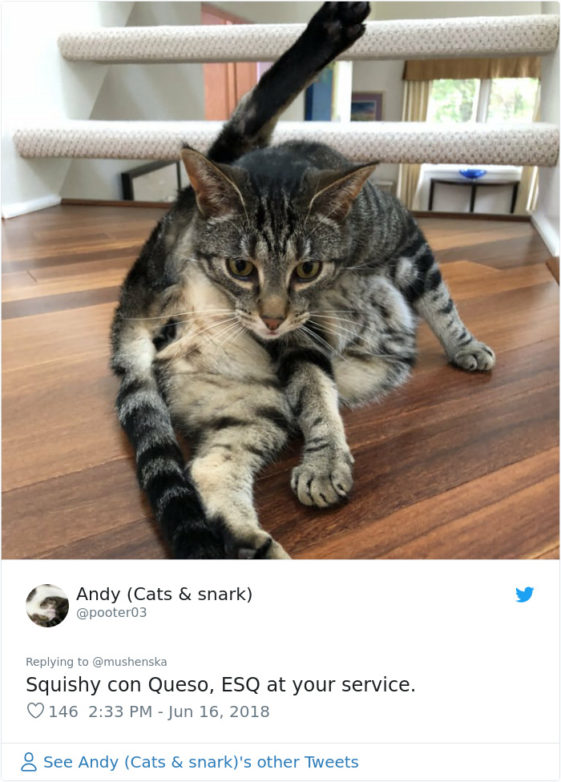 People Share The Funniest Pet Names Ever And They're Beyond Creative