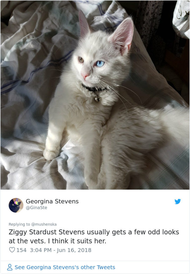 People Share The Funniest Pet Names Ever And They're Beyond Creative