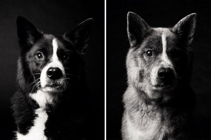 Maddy — 5 years and 10 years