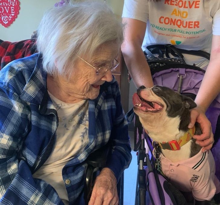 Mitus loves Grandma. He’s so gentle with her but crazy hyper with anyone else