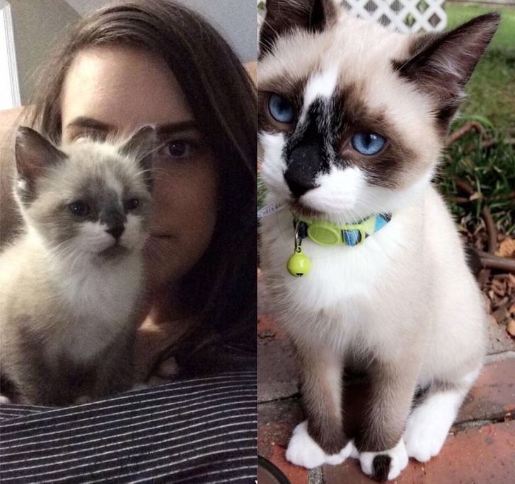 When I first rescued him and now! He and 4 other kittens were left in a city work truck