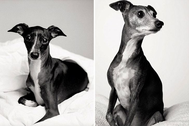 Audrey — 3 years and 12 years