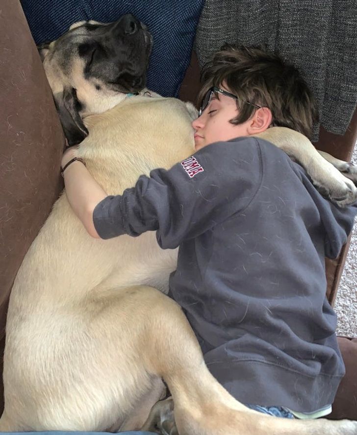 My 13-year-old fell asleep cuddling our mastiff puppy