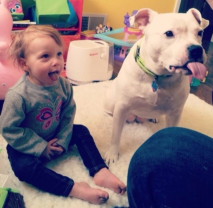 My wife caught my daughter and my pittie both begging for food