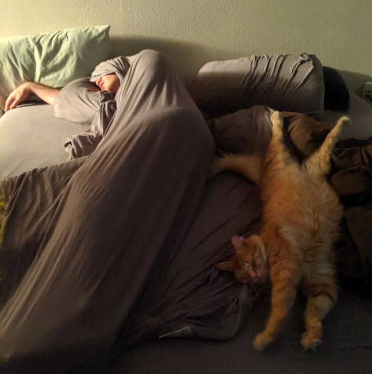 Everybody’s got these great pictures of their people sleeping with their pets and I’m over here stuck with this mess