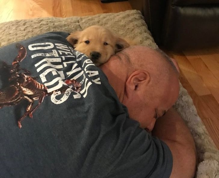  My dad had been saying “No” to a puppy for 4 years