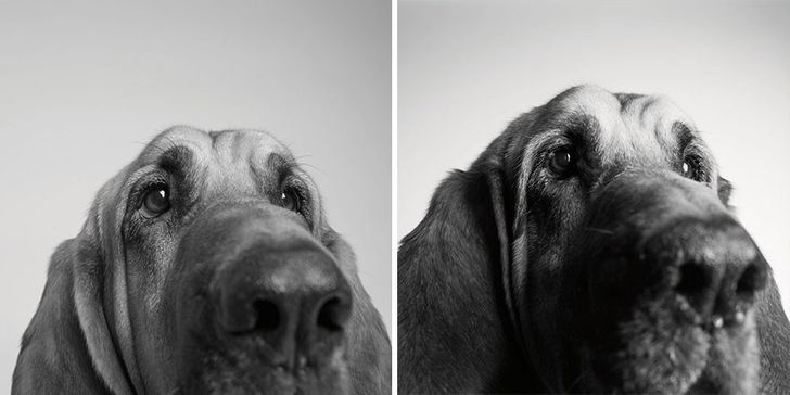 Fred — 2 years and 10 years