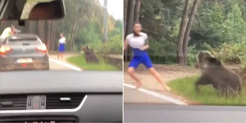 Wild bear lunges at a woman in Romania