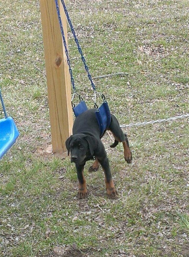 That’s not exactly how we ride this swing