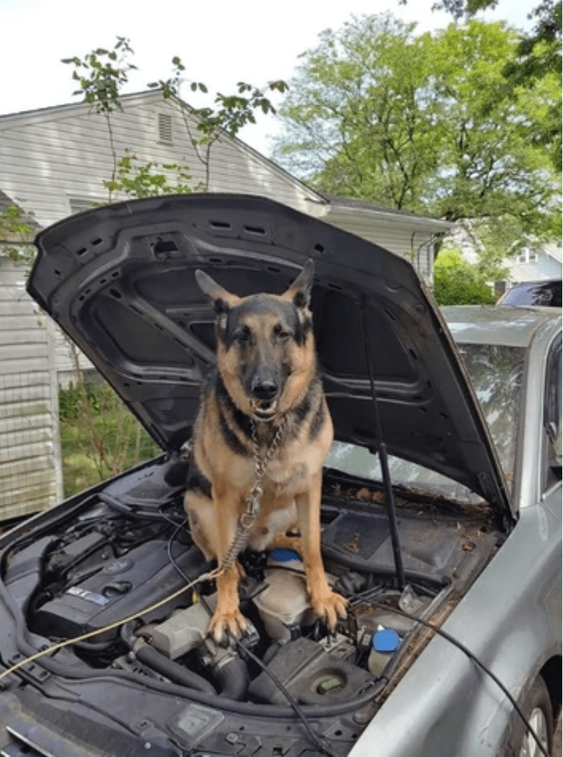 I will drive today, Hooman