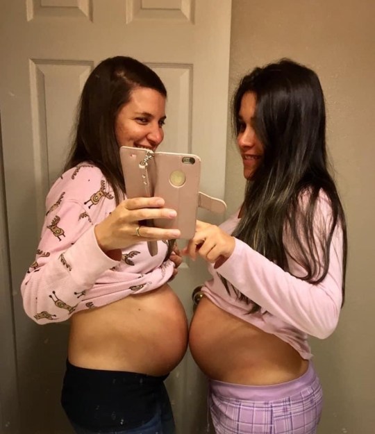 same sex couple pregnant