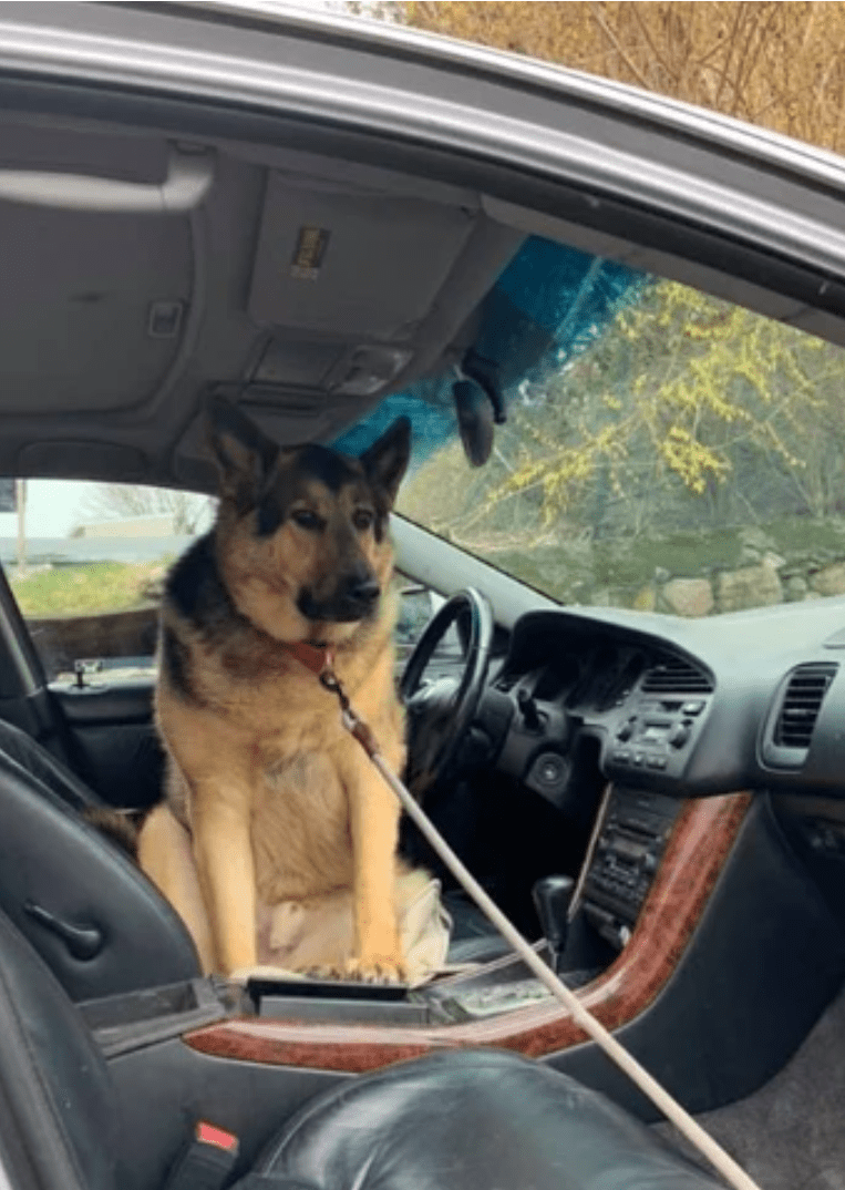 I will drive today, Hooman