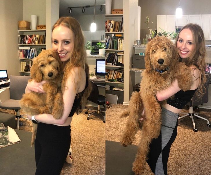 Chewie grew SO much in just 2 months