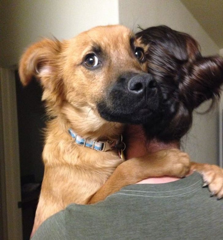 My wife’s dog hates thunderstorms