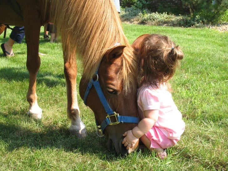 My daughter wanted to hug this horse, so as if on cue he just gently put his head down near her