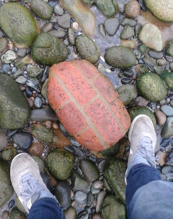 This brick was adopted by nature and shaped by the waves