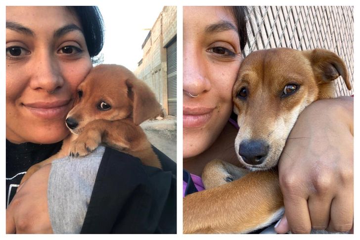 These were taken a year apart — last year when I found this little guy walking the streets, and today, getting cuddles