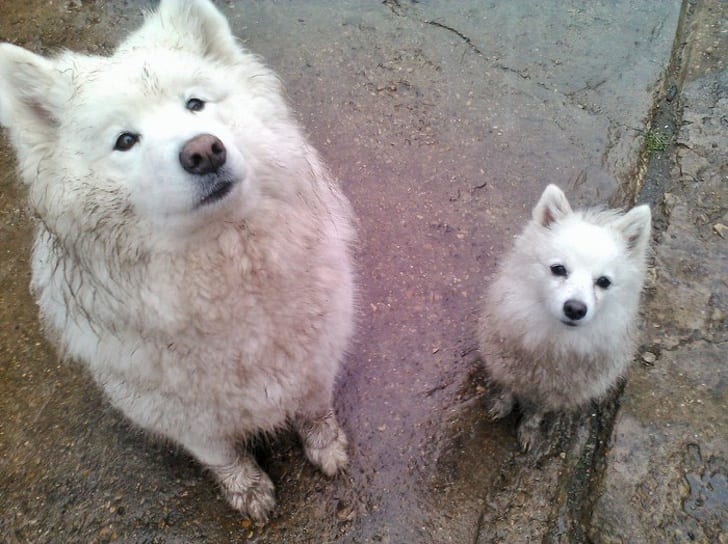 Got a little dirty while walking in the rain