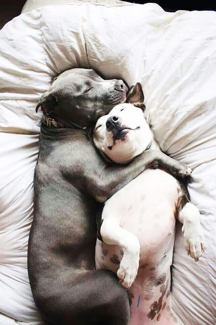 Cuddle Time